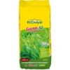 Ecostyle Gazon-AZ 10 Kg
