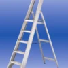 Professionele Trapladder 12 Tredes