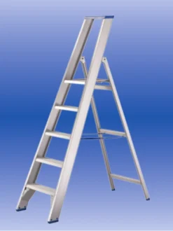 Professionele Trapladder 12 Tredes