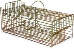 Inloopval Rat, Om Meerdere Ratten Levend Te Vangen