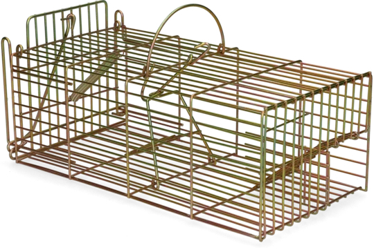 Inloopval Rat, Om Meerdere Ratten Levend Te Vangen 1 Inloopval Rat, Om Meerdere Ratten Levend Te Vangen