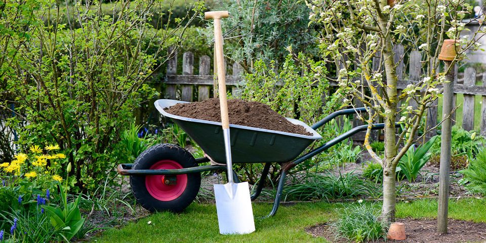 TuinGereedschapWinkel -TuinGereedschapWinkel 04a4c15597d3 spade